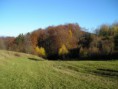 /album/fotogaleria-foto-z-trate1/pod-holym-vrskom-jpg/